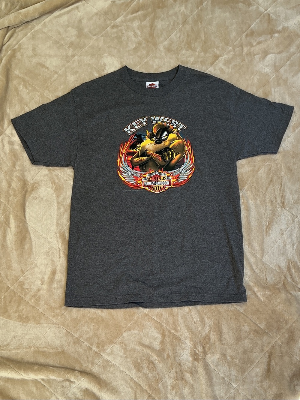 Harley-Davidson Charcoal Short Sleeve Tee with Flaming Eagle Graphic
